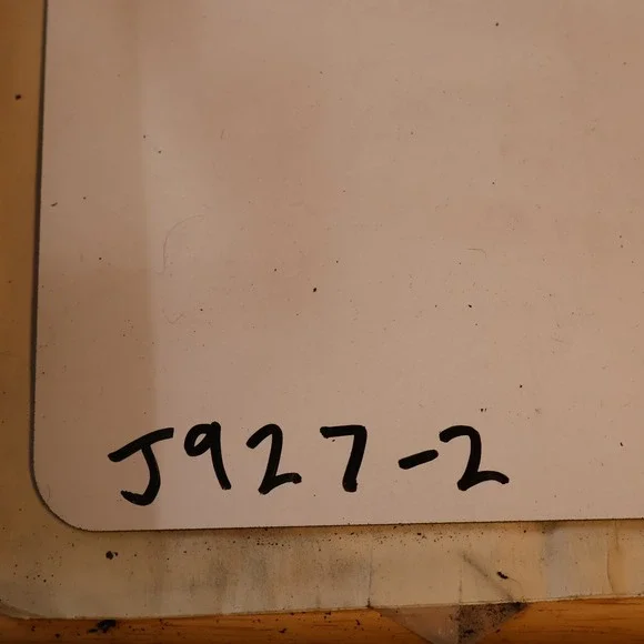 Banana Republic Shell Disc Bracelet Coastal Boho Beach Vacation Earthy Neutral - Picture 5 of 5